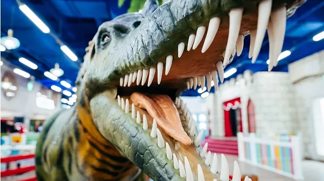 Специальное предложение